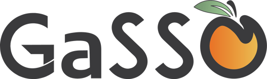GaSSO-Logo